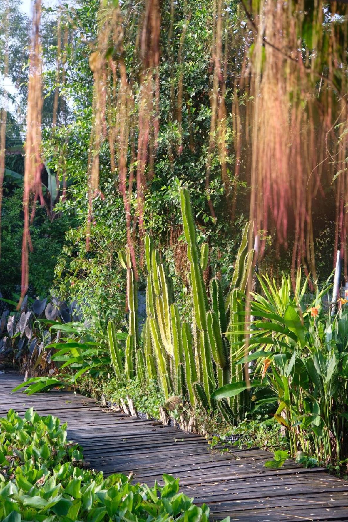Bungalow - Farmstay Hoa Rung U Minh Ca Mau Экстерьер фото