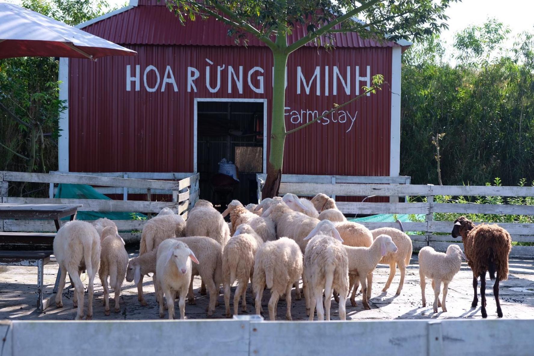 Bungalow - Farmstay Hoa Rung U Minh Ca Mau Экстерьер фото