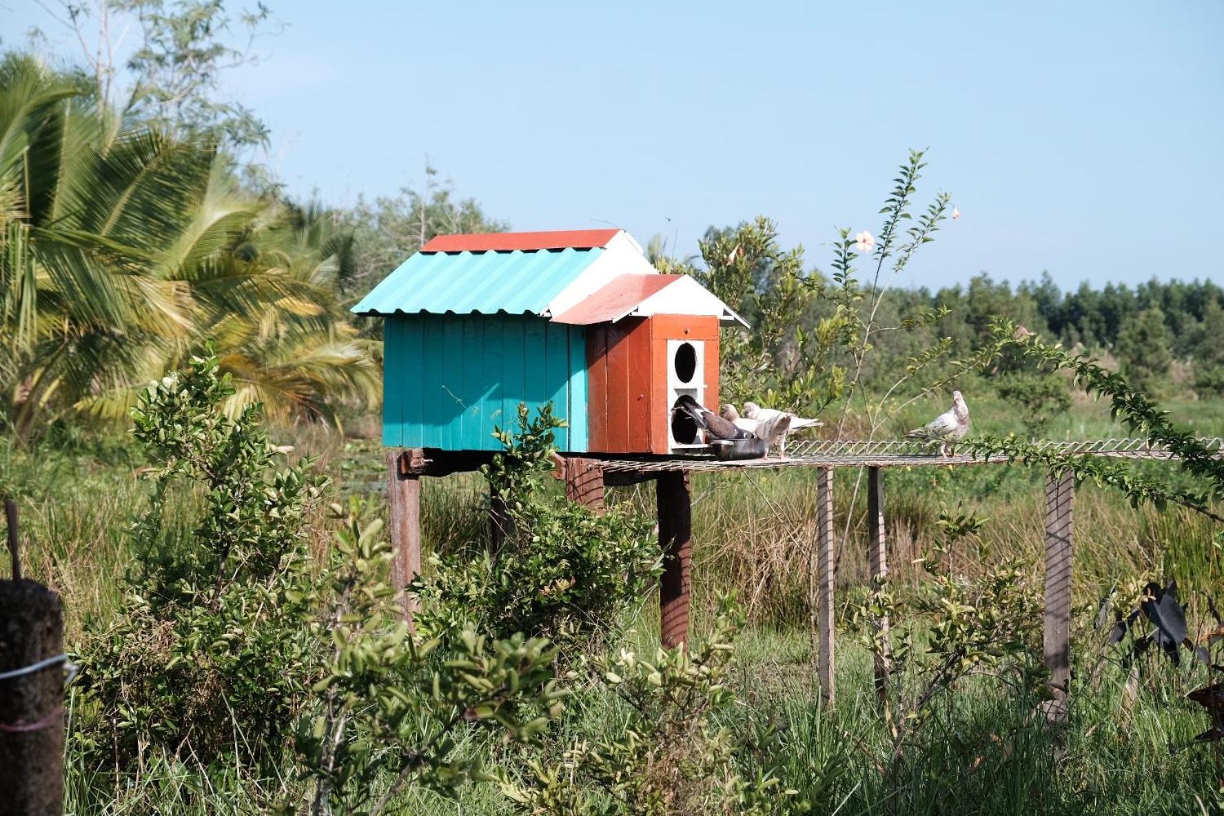 Bungalow - Farmstay Hoa Rung U Minh Ca Mau Экстерьер фото